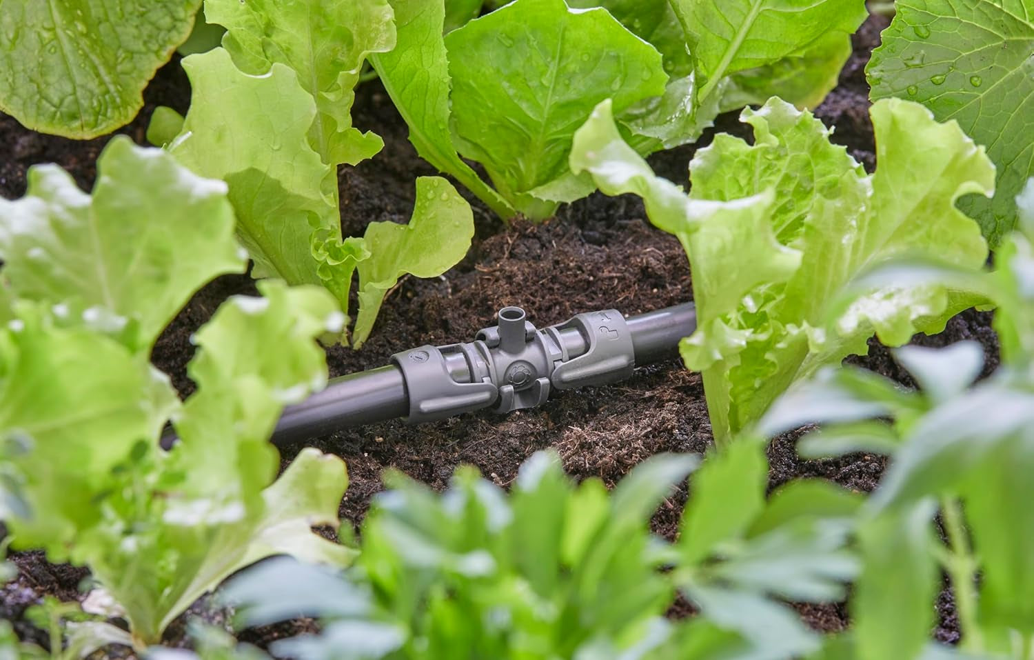 Gardena Micro-Drip-System T-kus pro rozprašovací trysky: Spojení mezi 13 mm trubicí a rozprašovací tryskou, automatické zavlažování rostlin, rychlé a snadné připojení, opakovaně použitelné (13206-20)