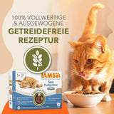 Mokré krmivo pro kočky IAMS Delights Sea Collection bez obilovin – více balení s různými rybami v omáčce, mokré krmivo bez obilovin pro kočky od 1 roku, 12 x 85 g