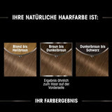 Garnier Olia Hair Color 6.0 Light Brown + True Treasures Repair Treatment (340 ml) pro poškozené vlasy - barvení bez amoniaku, přírodních olejů, krycí šediny, med a včelí vosk, méně lámavé Barva na vlasy Naty Shop