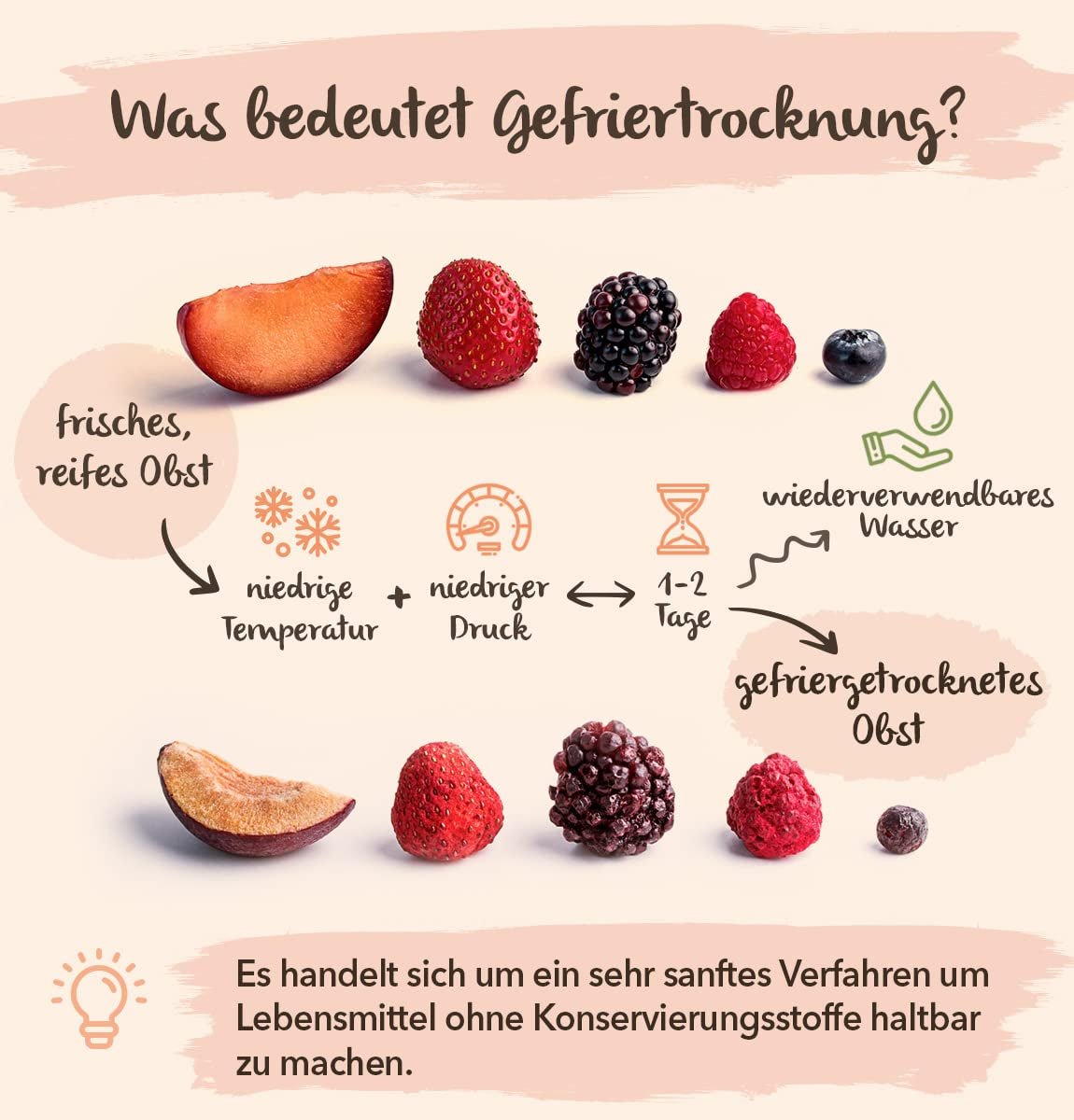 Mrazem sušené ovoce BRIX | Přírodní, suchá směs tropického ovoce 80 g | Cena Great Taste Award za sušené ovoce | Bez GMO, bezlepkové, veganské, vitamíny jsou zachovány Naty Shop Dehydrated Products