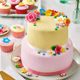 FunCakes rolkový fondant Botanical Green: Snadné použití, hladký, pružný, měkký a poddajný, ideální pro zdobení dortů, halal, košer a bez lepku, 250 g Naty Shop Sugarpaste