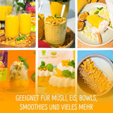 Lyofilizované mango: 100 g lyofilizovaného ovoce z jemných kousků manga bez přidaného cukru - sušené mango - sušené mango - sušené ovoce - sušené ovoce od NutriPur Dehydrated products Naty Shop