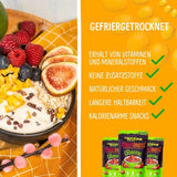 Lyofilizované mango: 100 g lyofilizovaného ovoce z jemných kousků manga bez přidaného cukru - sušené mango - sušené mango - sušené ovoce - sušené ovoce od NutriPur Dehydrated products Naty Shop