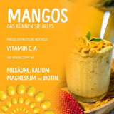 Lyofilizované mango: 100 g lyofilizovaného ovoce z jemných kousků manga bez přidaného cukru - sušené mango - sušené mango - sušené ovoce - sušené ovoce od NutriPur Dehydrated products Naty Shop