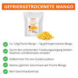 Lyofilizované mango, 250g lyofilizované ovoce, bez přísad, ovocné, vyrobeno v Německu Dehydrované produkty Naty Shop