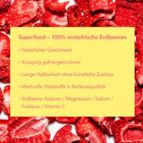 Mono lyofilizované chipsy - 300g jahodové chipsy ze 100% přírodních jahod - sušené tropické ovoce - sušené jahodové ovoce - snack do müsli a dezertů - jahodové chipsy Dehydrované produkty Naty Shop
