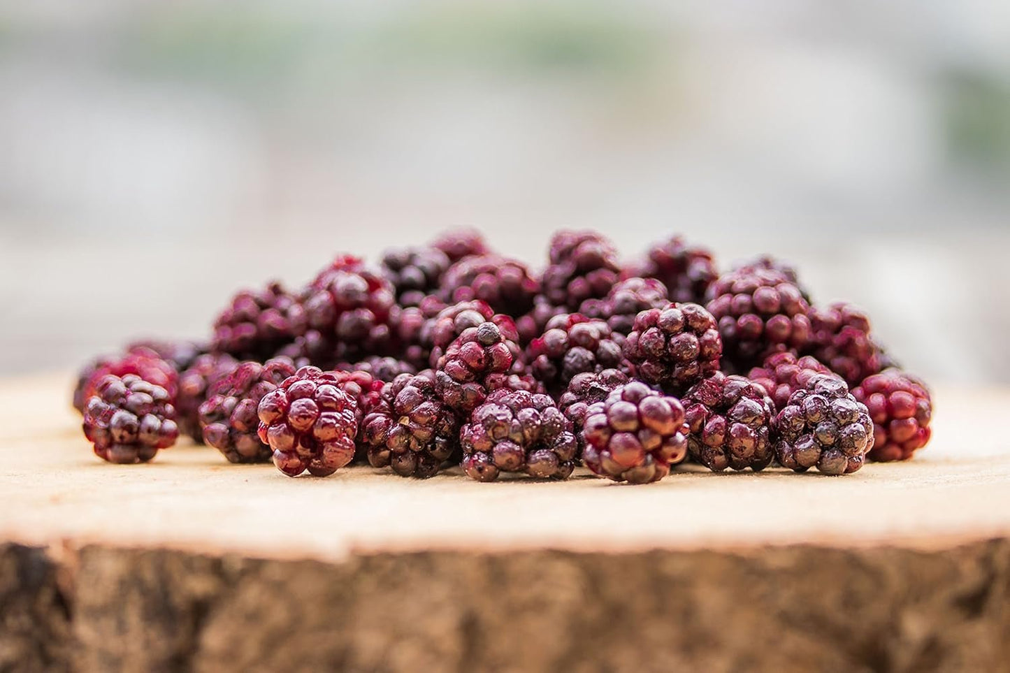 Lesní ostružiny BRIX | Přírodní lesní ostružiny, sušené 95 g | Cena za skvělou chuť za sušené bobule | Bez GMO, Bezlepkové, Veganské, Zadržené vitamíny Naty Shop Dehydratované produkty