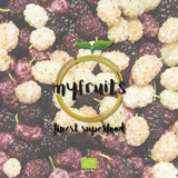 myfruits bio sušené ostružiny, 750g, sušené na slunci, bez přísad. Z certifikovaného ekologického zemědělství, sušené bílé ostružiny Naty Shop dehydratované produkty