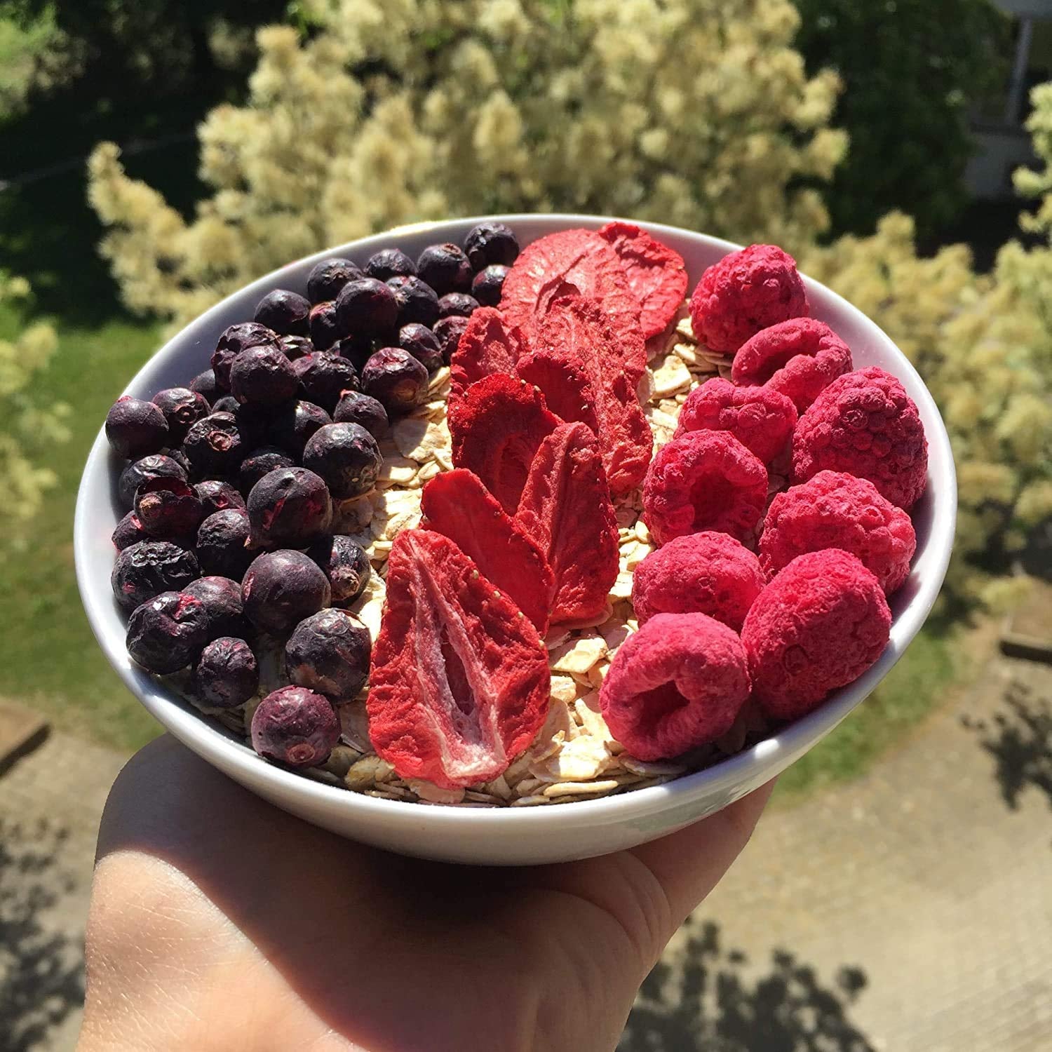 myfruits malina, lyofilizovaná, 300g, bez přísad, 100% sušená malina, lyofilizované ovoce do müsli nebo jako svačina... Dehydrované produkty Naty Shop