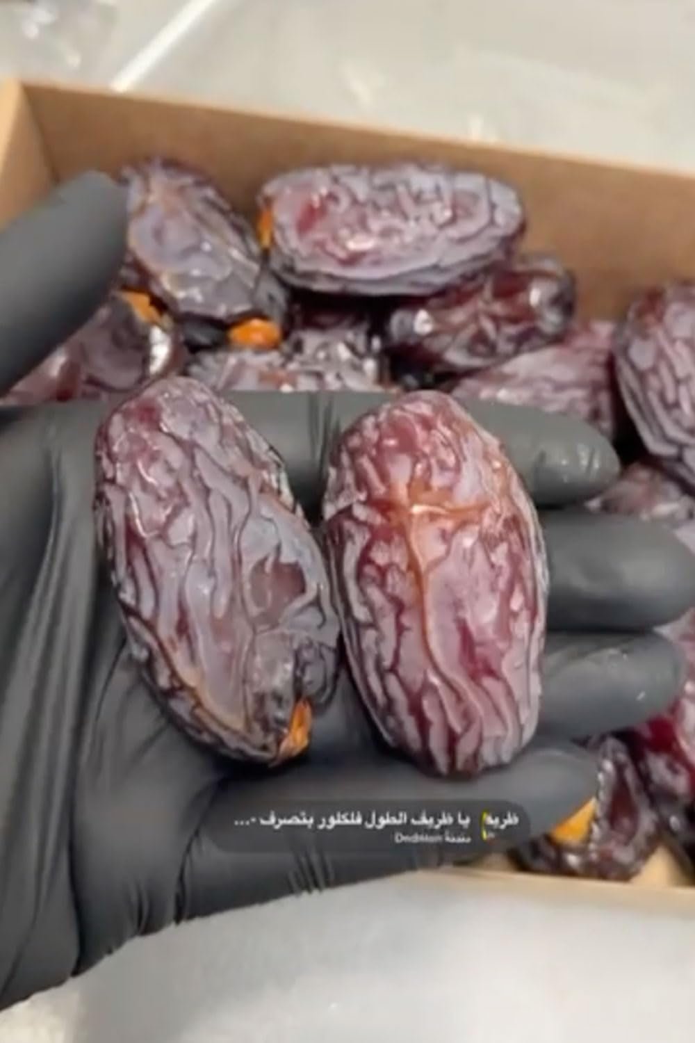 NABALI FAIRKOST PRO VŠECHNY Data Medjool Medjoul z Palestiny - 100% přírodní veganská aromatická tradiční svěží a orientální I bez konzervantů 5 kg (1 balení), Small/Medium Dehydratované produkty Naty Shop