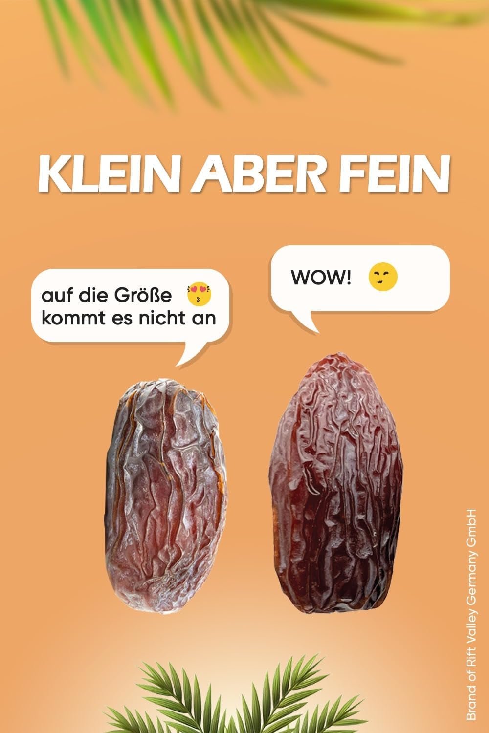 NABALI FAIRKOST PRO VŠECHNY Medjoul - Medjool Dates Choice I - 100% přírodní aromatický svěží orientální jemný I sladký jako med a karamelizovaný I Původ: Palestina I (1x1KG) Dehydrované produkty Naty Shop