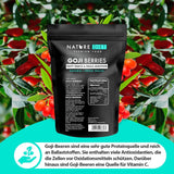 Nature Diet - Goji bobule 1000 g | Sušené bobule | Zdravá svačina Dehydrované produkty Naty Shop