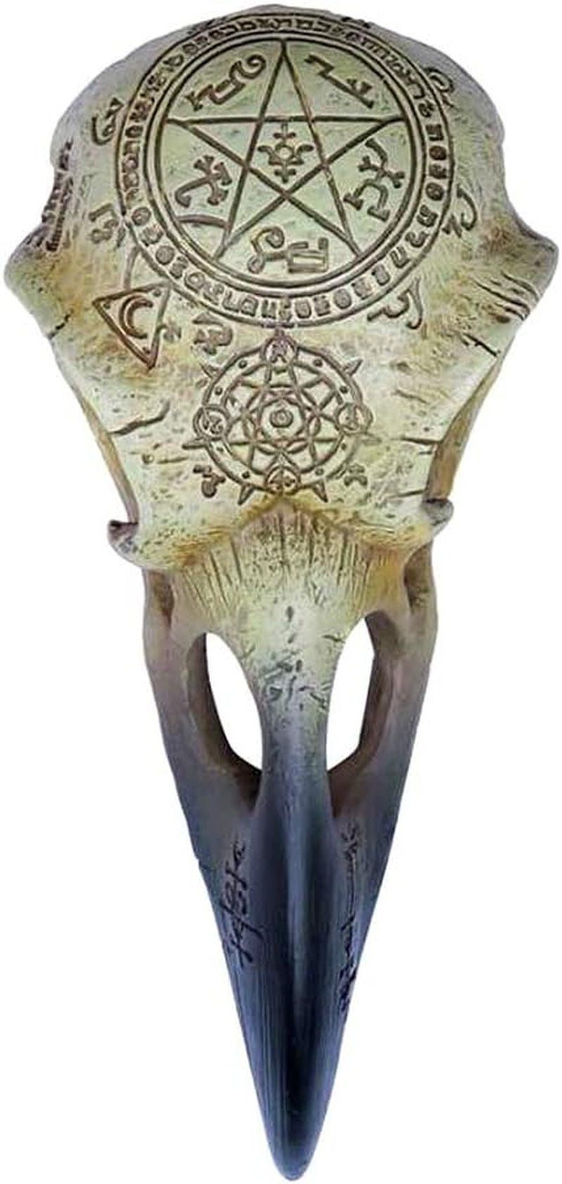 Omega Raven Skull Sošky a plastiky Naty Shop