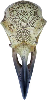 Omega Raven Skull Sošky a plastiky Naty Shop