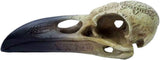 Omega Raven Skull Sošky a plastiky Naty Shop