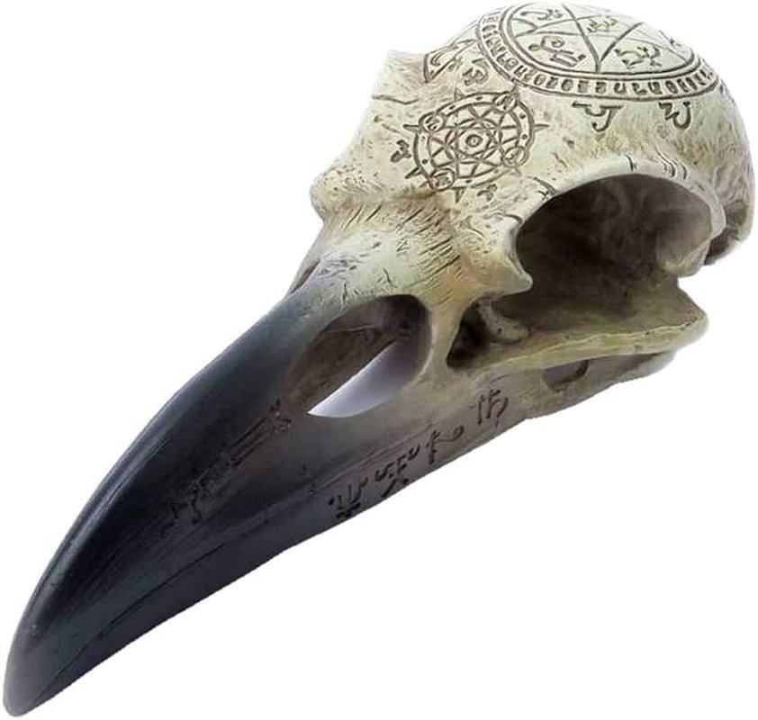 Omega Raven Skull Sošky a sochy Naty Shop Výchozí název