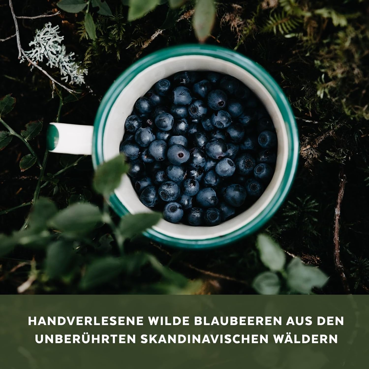 Organický prášek z divokých borůvek, lyofilizované celé borůvky, 100% kvalita syrových potravin, bohaté na antioxidanty a vitamín C, bez přidaného cukru, sklizeno v severní Evropě Sušené produkty Naty Shop