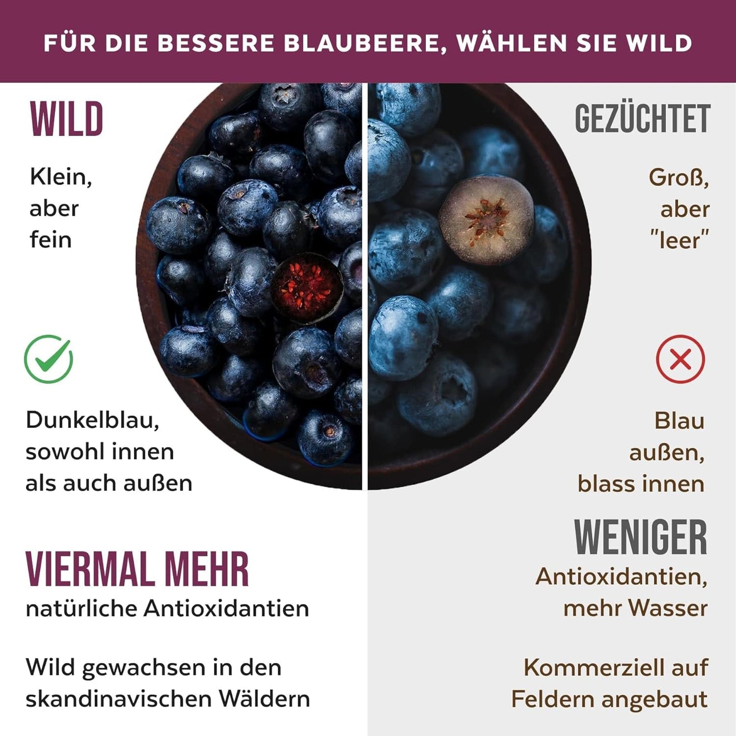 Organický prášek z divokých borůvek, lyofilizované celé borůvky, 100% kvalita syrových potravin, bohaté na antioxidanty a vitamín C, bez přidaného cukru, sklizeno v severní Evropě Sušené produkty Naty Shop