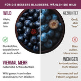 Organický prášek z divokých borůvek, lyofilizované celé borůvky, 100% kvalita syrových potravin, bohaté na antioxidanty a vitamín C, bez přidaného cukru, sklizeno v severní Evropě Sušené produkty Naty Shop