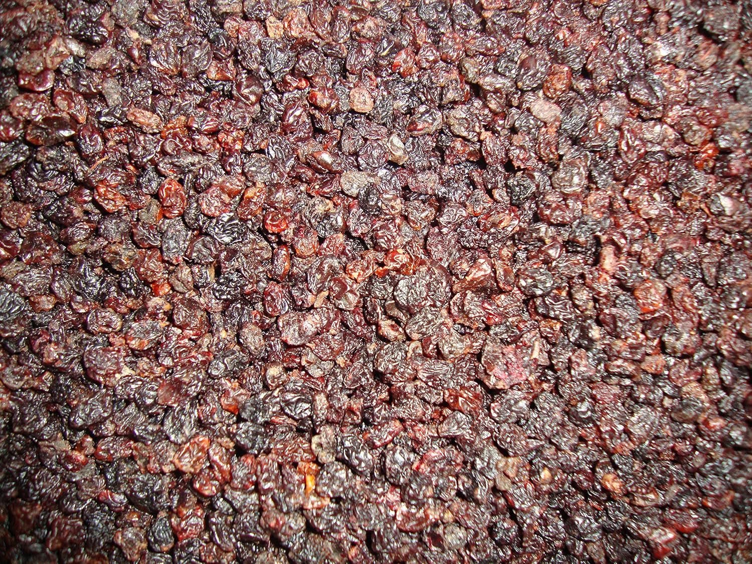 Hrozny sultánky Rybíz 1 kg I Sušené hrozny sultánky I Hrozny sultánky korintské I řeckého původu | Sladké a sladké hrozny Sultana bez pecek | Sušené, sušené nebo dehydrované hrozny | Bez cukru | Dehydratované produkty Naty Shop Výchozí název