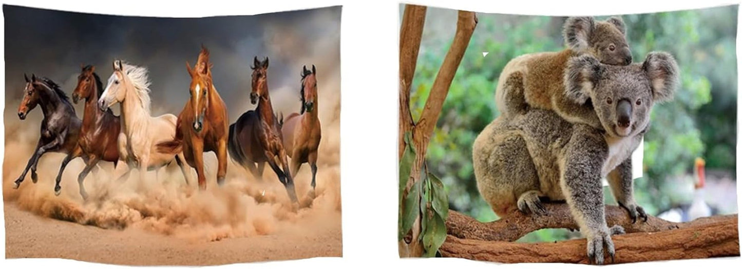 Tapiserie ulticool dům pláž moře palmový ostrov Home - Doplňky a dekorace Naty Shop Koala Horses