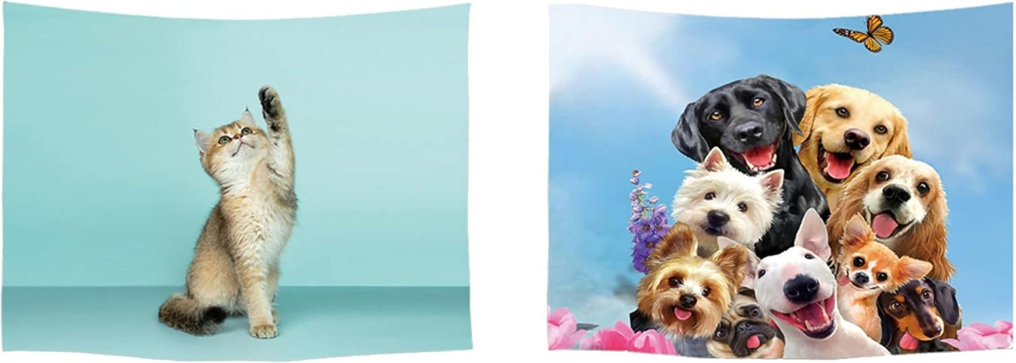 Tapiserie ulticool dům pláž moře palmový ostrov Home - Doplňky a dekorace Naty Shop Dog Cat