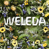 WELEDA Organic Baby Calendula Care Cream Body & Face 75ml - Pleťový krém / pleťový krém pro přírodní kosmetiku se sezamovým olejem a lanolinem pro péči o suchou pokožku. Hydratační pečující krém pro kojence a děti Děti - Koupel a péče o pleť Naty Shop